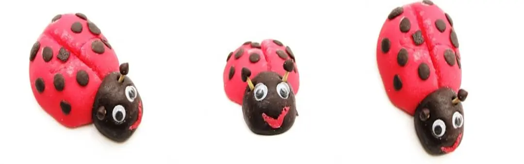 Acer w Biedronce – czy to nie żart?